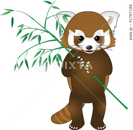 レッサーパンダ アライグマと笹 ベクターのイラスト素材