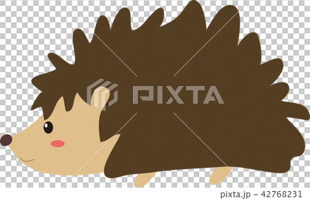 はりねずみ はりねずみ 42768231