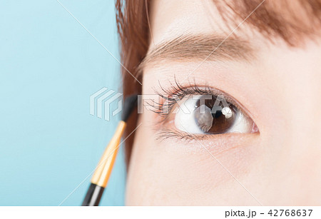 ビューティー・眉・ブラシ 42768637