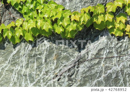 荒い岩肌 42768952