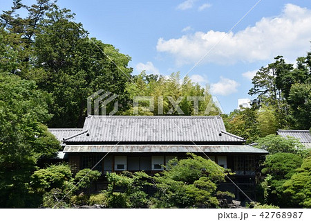三島市立公園 楽寿園 三島市立公園 楽寿園 42768987