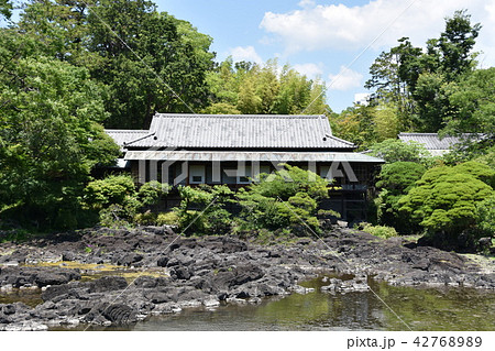 三島市立公園 楽寿園 三島市立公園 楽寿園 42768989