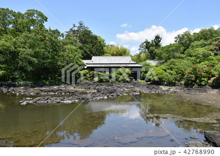 三島市立公園 楽寿園 三島市立公園 楽寿園 42768990