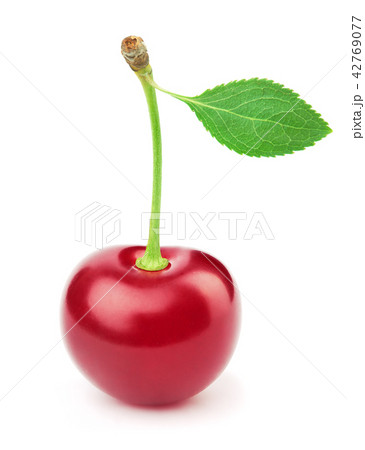 Fresh cherry with leaf isolated on white Fresh cherry with leaf isolated on white 42769077