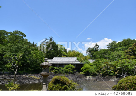 三島市立公園　楽寿園 42769095