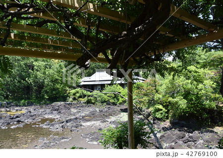三島市立公園 楽寿園 三島市立公園 楽寿園 42769100