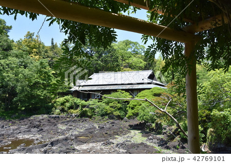 三島市立公園　楽寿園 42769101