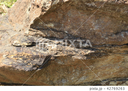 荒い岩肌 42769263