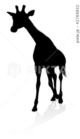 Giraffe Safari Animal Silhouette 42769832