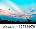 夕陽とドローン 42769979