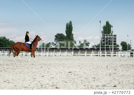 Rider elegant woman riding her horse outside 42770772