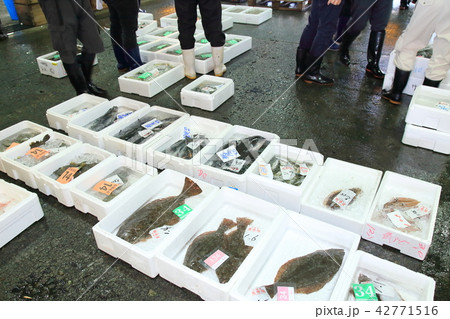 魚市場に並んだ新鮮な魚　神奈川県 42771516
