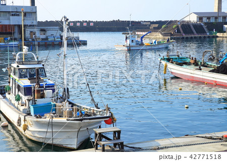 朝の漁港　神奈川県 42771518