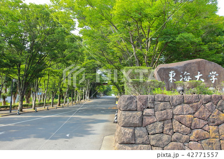 東海大学 湘南キャンパス 東海大学 湘南キャンパス 42771557