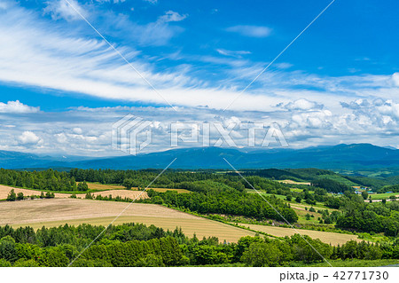《北海道》かみふらの八景・深山峠 42771730