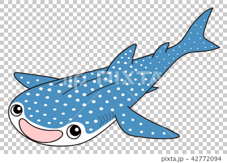 ジンベイザメ 42772094