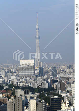 日本の東京都市景観 東京スカイツリーなど街並みを望む 日本の東京都市景観 東京スカイツリーなど街並みを望む 42772263