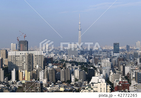 日本の東京都市景観 東京スカイツリーなど街並みを望む 日本の東京都市景観 東京スカイツリーなど街並みを望む 42772265