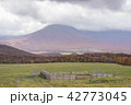 【青森県】　曇天と山　【八甲田山系】 42773045