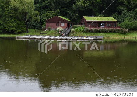 公園の水辺 公園の水辺 42773504