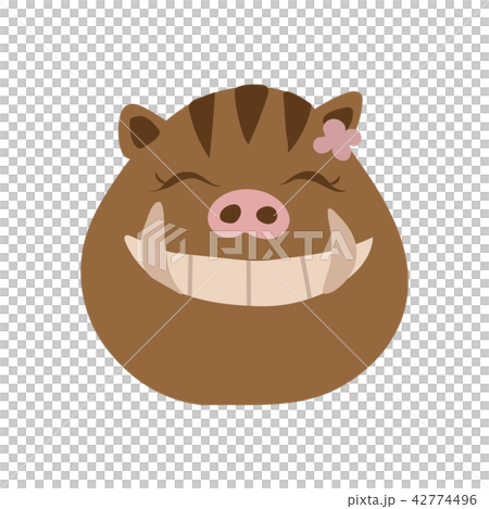 笑顔のまんまるメスのウリボウ　イラスト 42774496