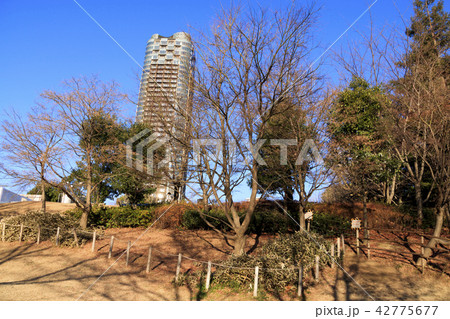 ミッドタウン 42775677