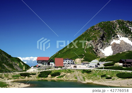 7月の乗鞍岳(撮影地:乗鞍岳、畳平) 7月の乗鞍岳(撮影地:乗鞍岳、畳平) 42776058