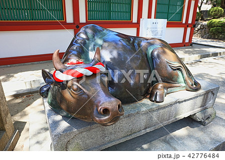 太宰府天満宮（御神牛）　福岡県太宰府市 42776484