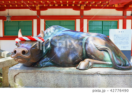 太宰府天満宮(御神牛) 福岡県太宰府市 太宰府天満宮(御神牛) 福岡県太宰府市 42776490
