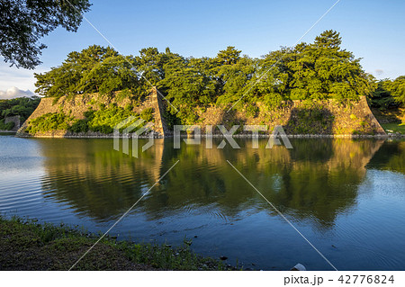 愛知県 名古屋城 愛知県 名古屋城 42776824