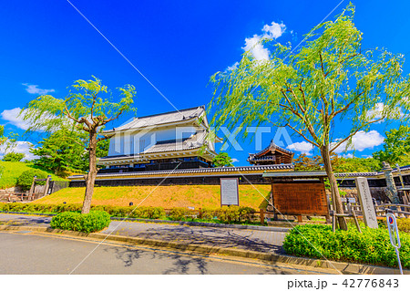 京都　長岡京市　勝竜寺城 42776843