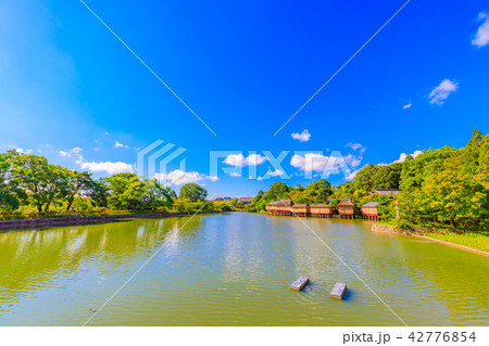 京都 長岡天満宮 八条が池 京都 長岡天満宮 八条が池 42776854