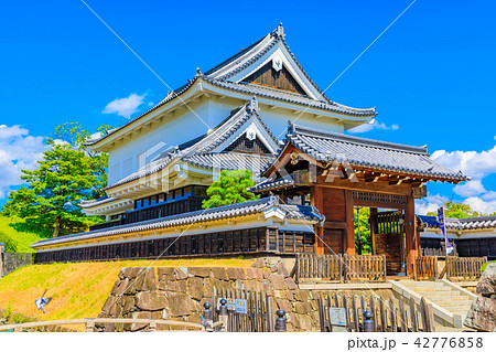 京都　長岡京市　勝竜寺城 42776858