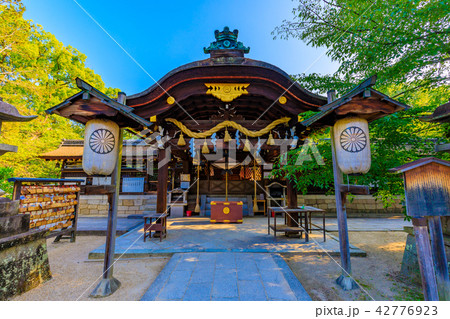 京都　藤森神社　本殿 42776923