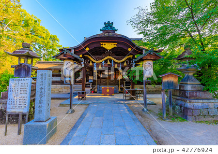 京都　藤森神社　本殿 42776924