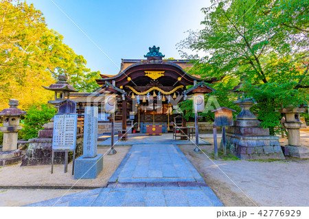 京都　藤森神社　本殿 42776929