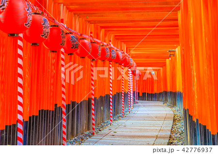 京都 伏見稲荷大社 千本鳥居 京都 伏見稲荷大社 千本鳥居 42776937