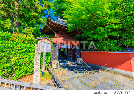 京都　辨財天長建寺（島の弁天さん） 42776954
