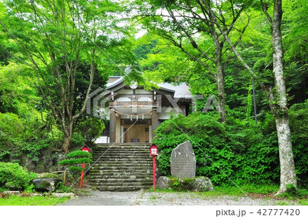箱根仙石原の公時神社参拝所 箱根仙石原の公時神社参拝所 42777420