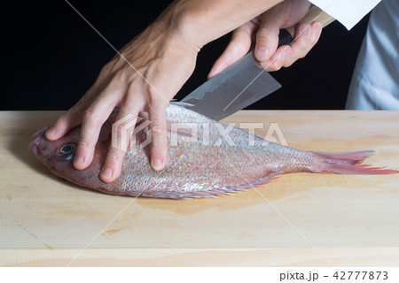 鯛を捌く 鯛を捌く 42777873