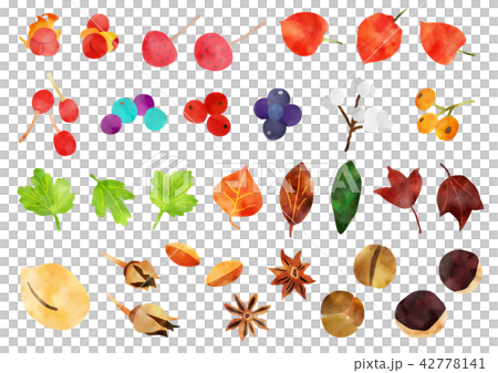 秋天樹堅果和葉子 秋天樹堅果和葉子 42778141