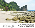 白砂の海岸に続く岩々 42778235