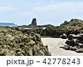 海岸の白砂と岩 42778243