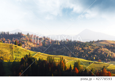 Amazing scene on autumn mountains 42778593