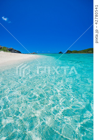 嘉比島の海　ケラマブルー 42780541