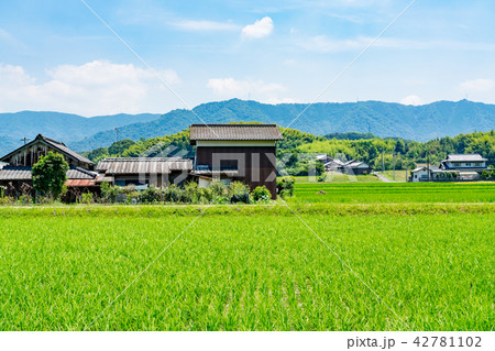 【香川県】田園風景 42781102