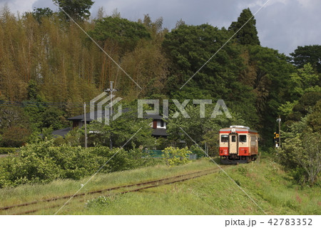 いすみ鉄道キハ20形 いすみ鉄道キハ20形 42783352