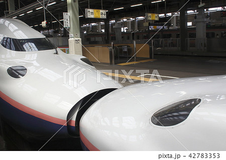 新潟駅に停車中の上越新幹線Maxとき号 42783353