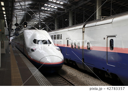 新潟駅に停車中の上越新幹線Maxとき号 新潟駅に停車中の上越新幹線Maxとき号 42783357
