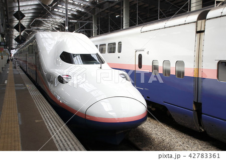 新潟駅に停車中の上越新幹線Maxとき号 42783361